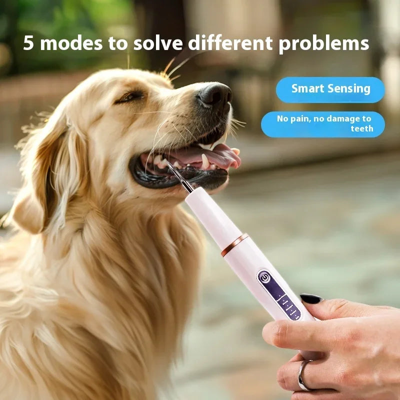 Dog Cat Grooming Smart Dental Ultrasonic Scaler Household Tooth Stone Remover Tooth CleanerTooth Whitening Oral Cleaning Tools