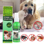 New High-end Pet Flea Killer Drops 60ml Anti Fleas Cats Ticks Lice Mite Removal Relieve Itching Antiseptic Pet Wound & Skin Care